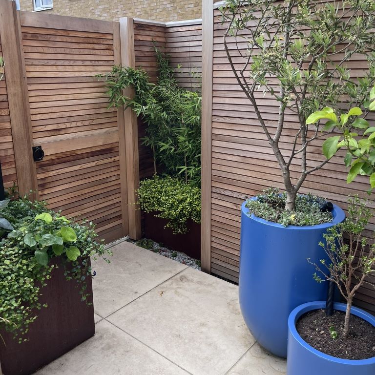 FuchsiaGreenLtd_Garden_Design_Whitstable_Tiny_Courtyard_Cedar_Gate _After