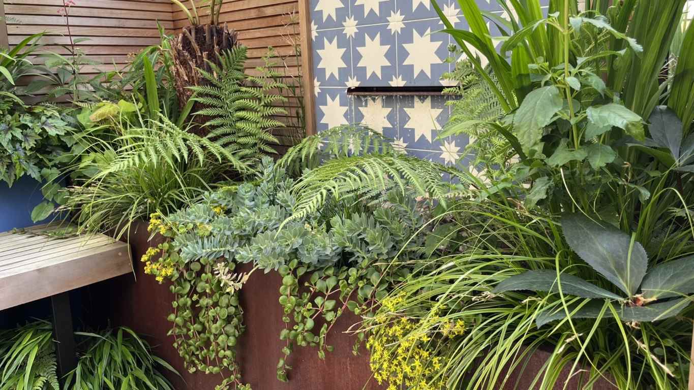 FuchsiaGreenLtd_Garden_Design_Whitstable_Tiny_Courtyard_Corten_Waterblade