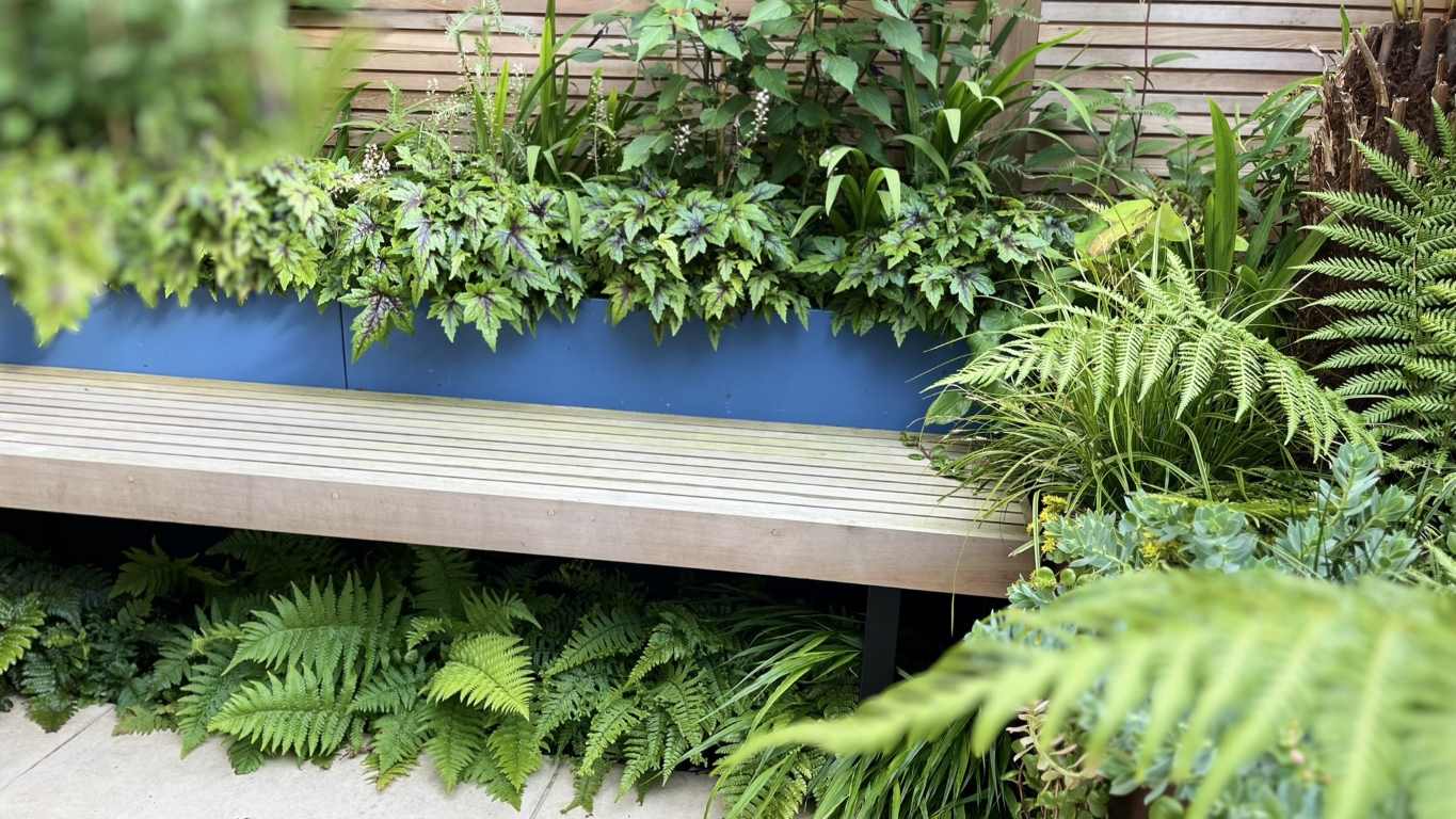 FuchsiaGreenLtd_Garden_Design_Whitstable_Tiny_Courtyard_GRP_Planters