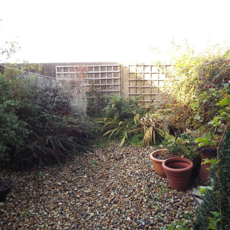 FuchsiaGreenltd_Garden_Design_Whistable_Coastal_Garden_Before